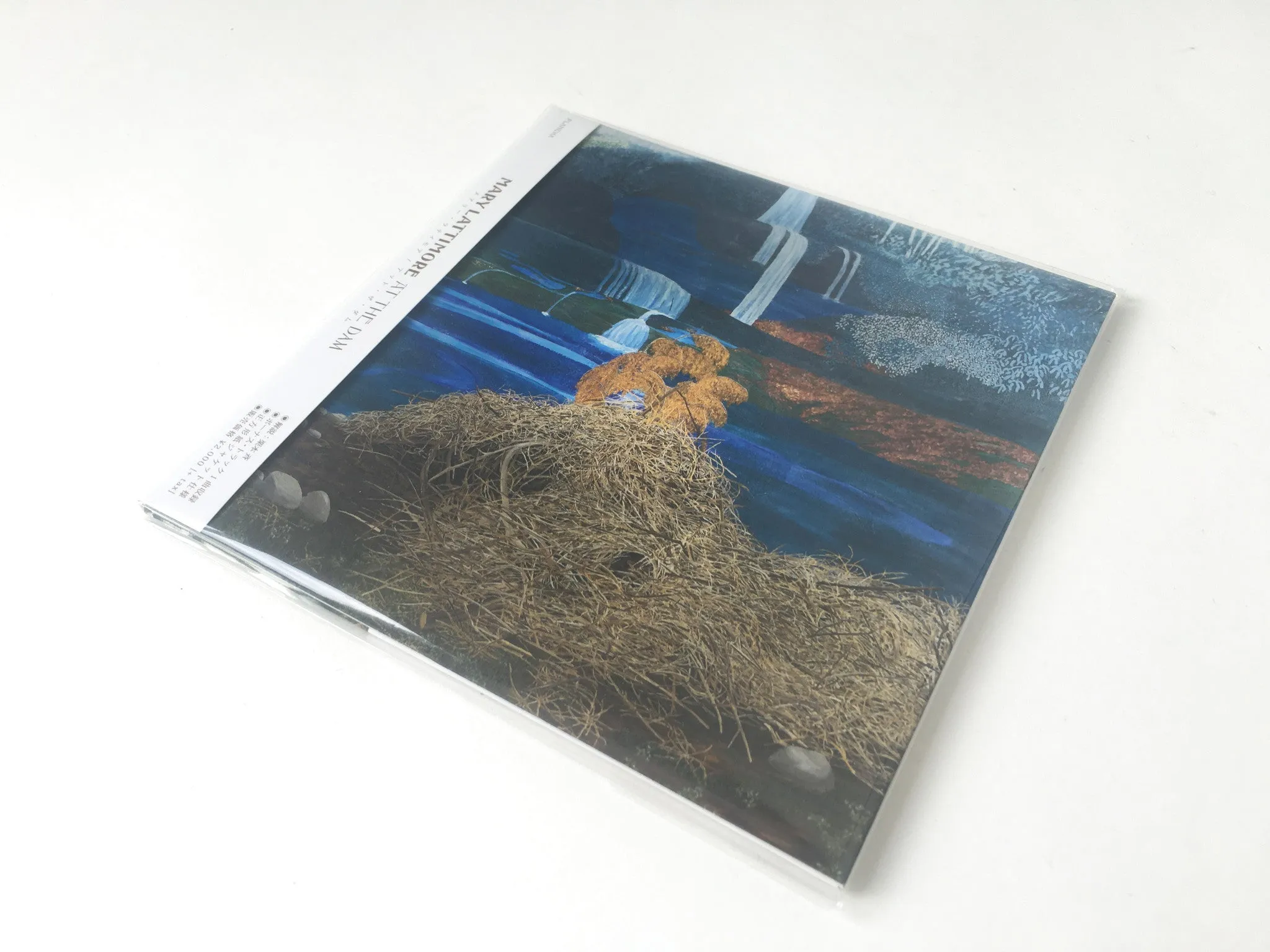 At the Dam - Japanese Edition