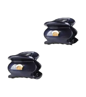 Mini Pur Hair Jaw Clip 2S
