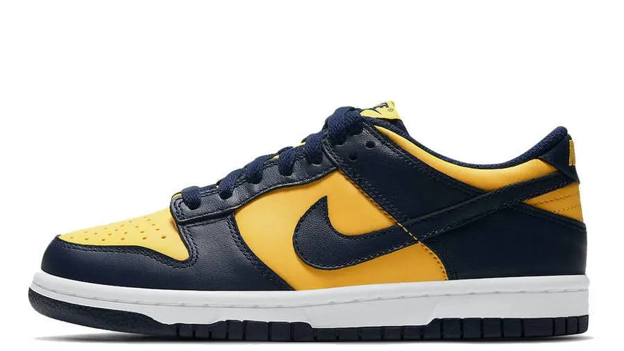 NIKE DUNK LOW MICHIGAN (M)